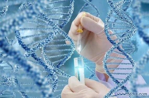 丹东试管婴儿助孕费用及第四代技术价格行情