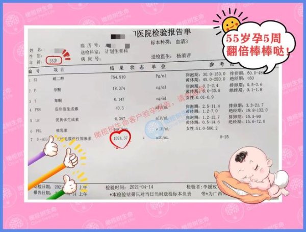 丹东试管婴儿助孕费用解析与优惠信息